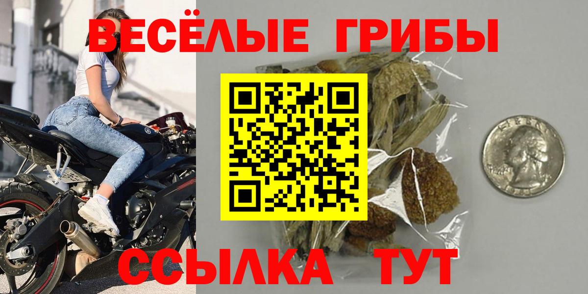 Галлюциногенные грибы Cubensis Амурск