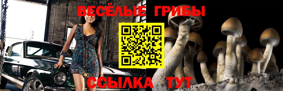 Псилоцибиновые грибы Magic Shrooms  Вход с VPN  Амурск 